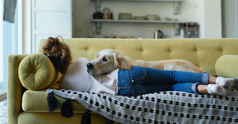 An Owner’s Guide to a Stylish and Pet-Friendly Home