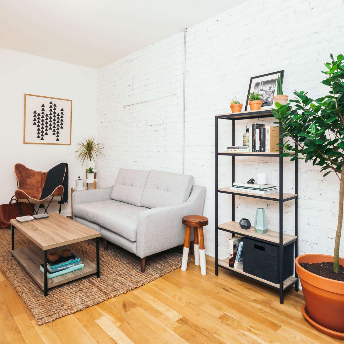 Living room with white walls, grey sofa, wooden coffee table and butterfly chair