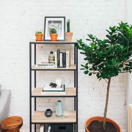 Styled bookcase with tree and white brick wall